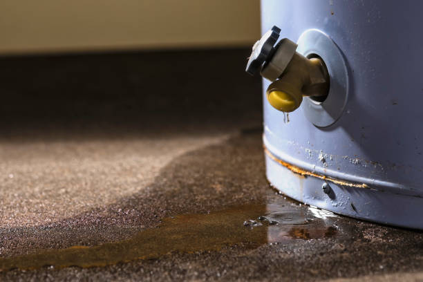Best Flood damage cleanup  in Monroe, LA