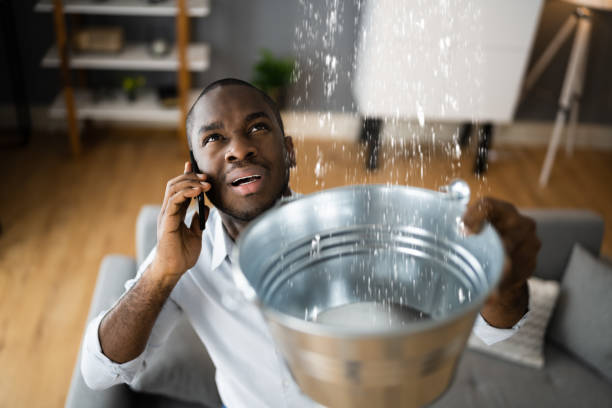 Best Flood damage cleanup  in Monroe, LA