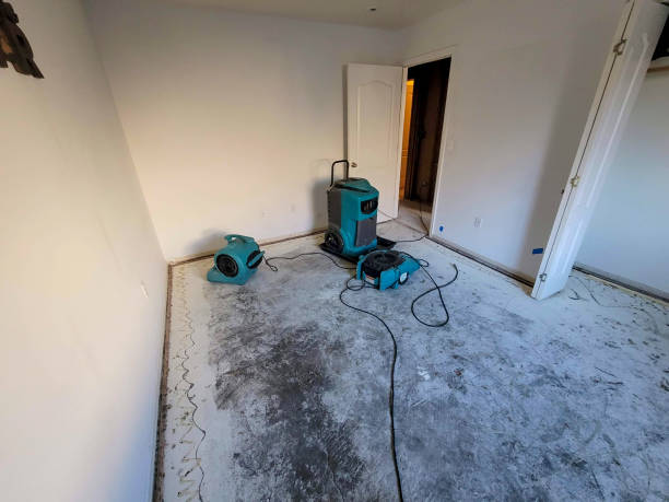 Trusted LA Water damage restoration Experts