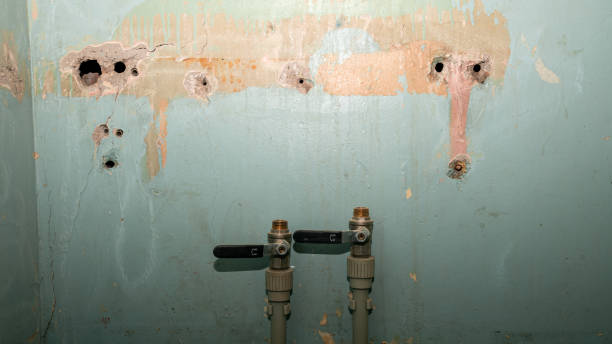 Best Professional water damage repair  in Monroe, LA
