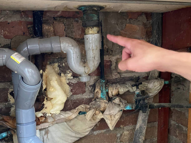 Best Mold removal after water damage  in Monroe, LA