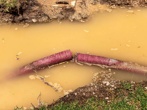 Best 24/7 water damage repair  in Monroe, LA